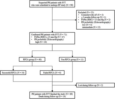 Radiofrequency Catheter Ablation of Supraventricular Tachycardia in Patients With Pulmonary Hypertension: Feasibility and Long-Term Outcome